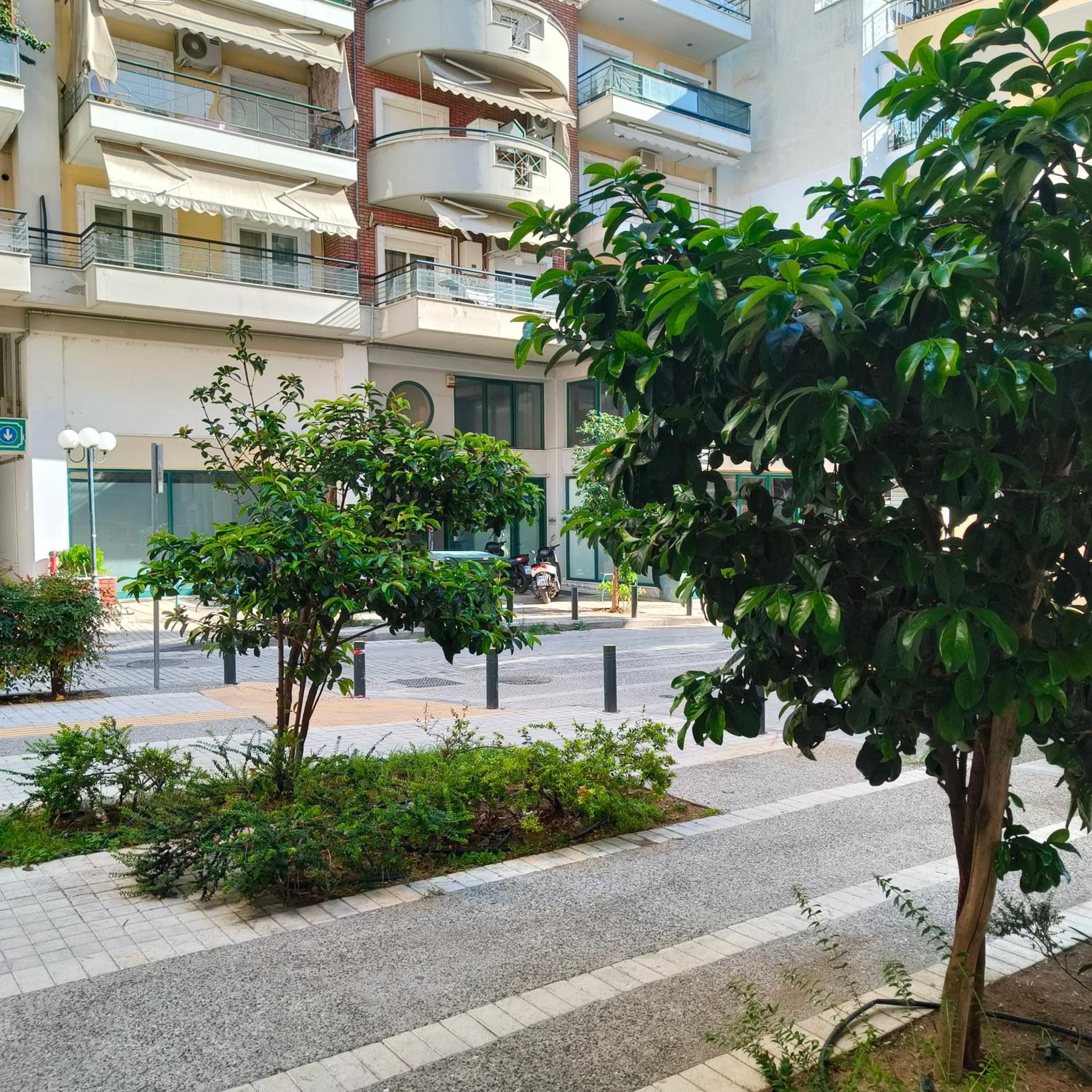 Phidias House
