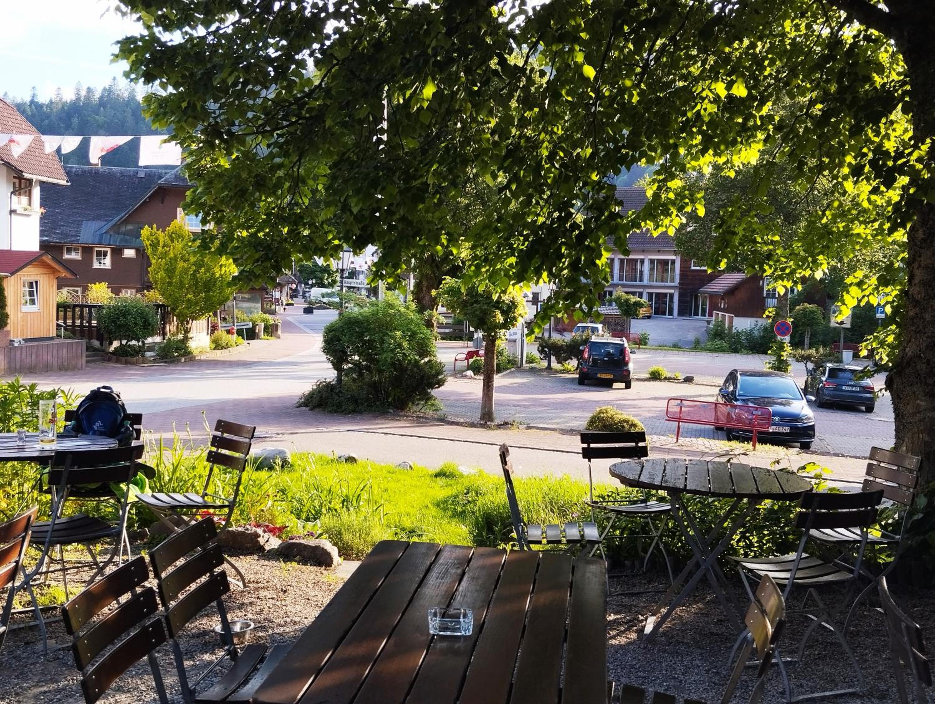 Fereinwohnung Tannenblick mit 2 Balkonen und Hallenbad - Mein Schwarzwaldhäusle