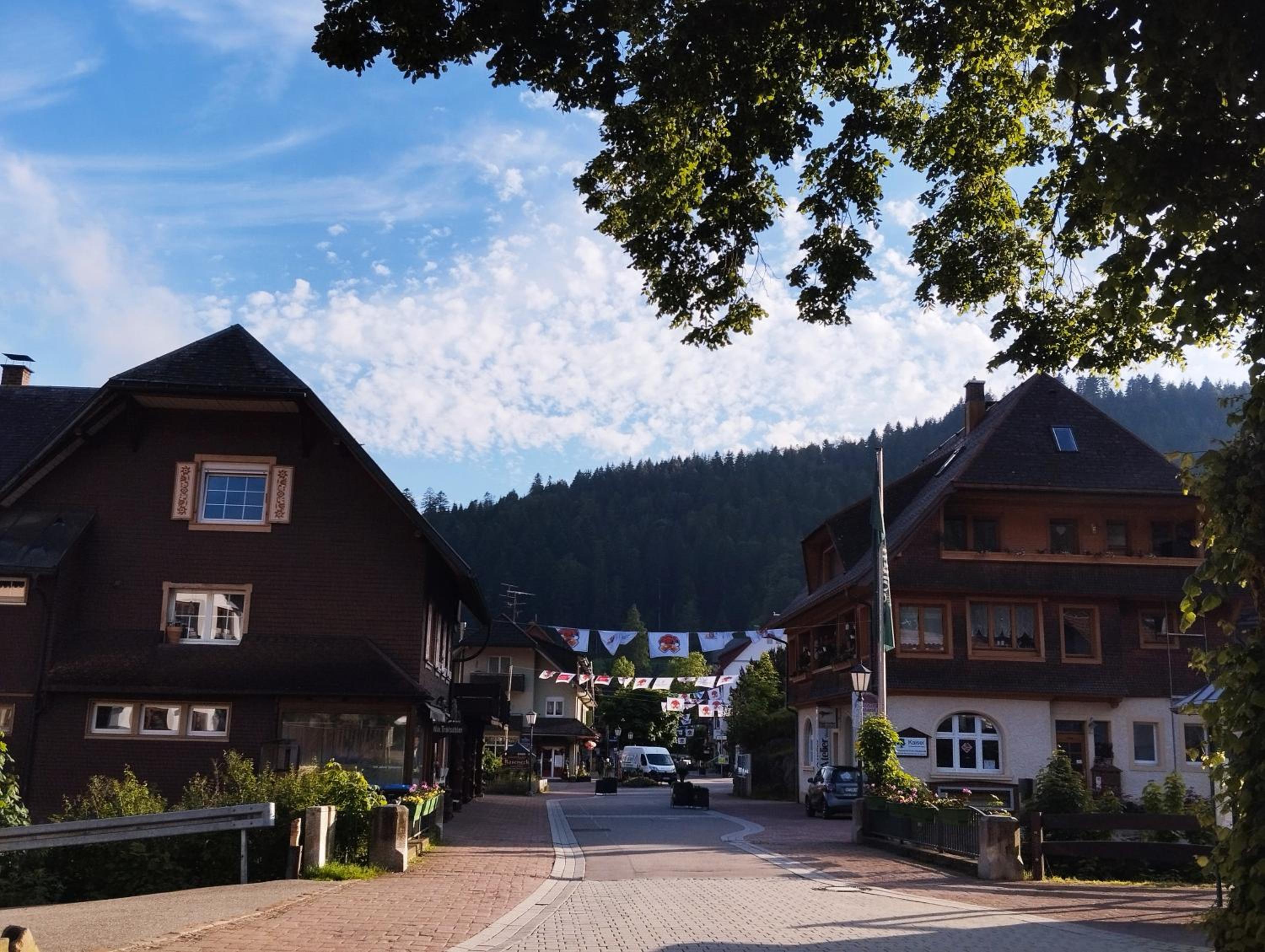Fereinwohnung Tannenblick mit 2 Balkonen und Hallenbad - Mein Schwarzwaldhäusle