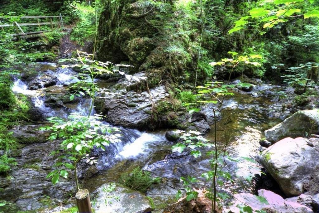 Fereinwohnung Tannenblick mit 2 Balkonen und Hallenbad - Mein Schwarzwaldhäusle