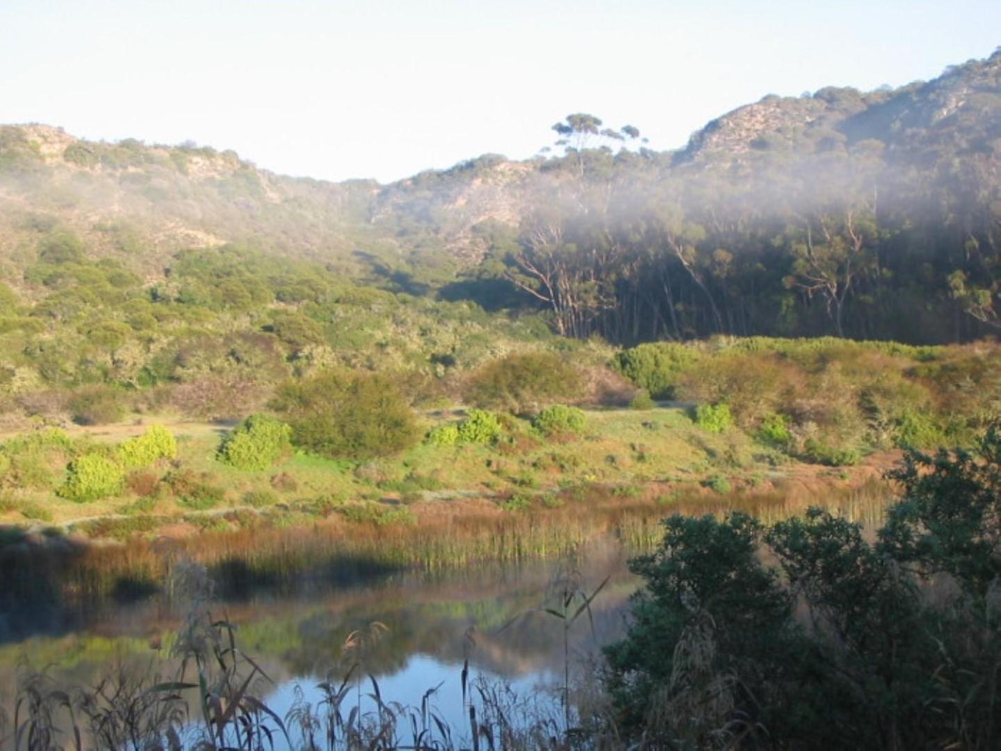 River Magic Cottages