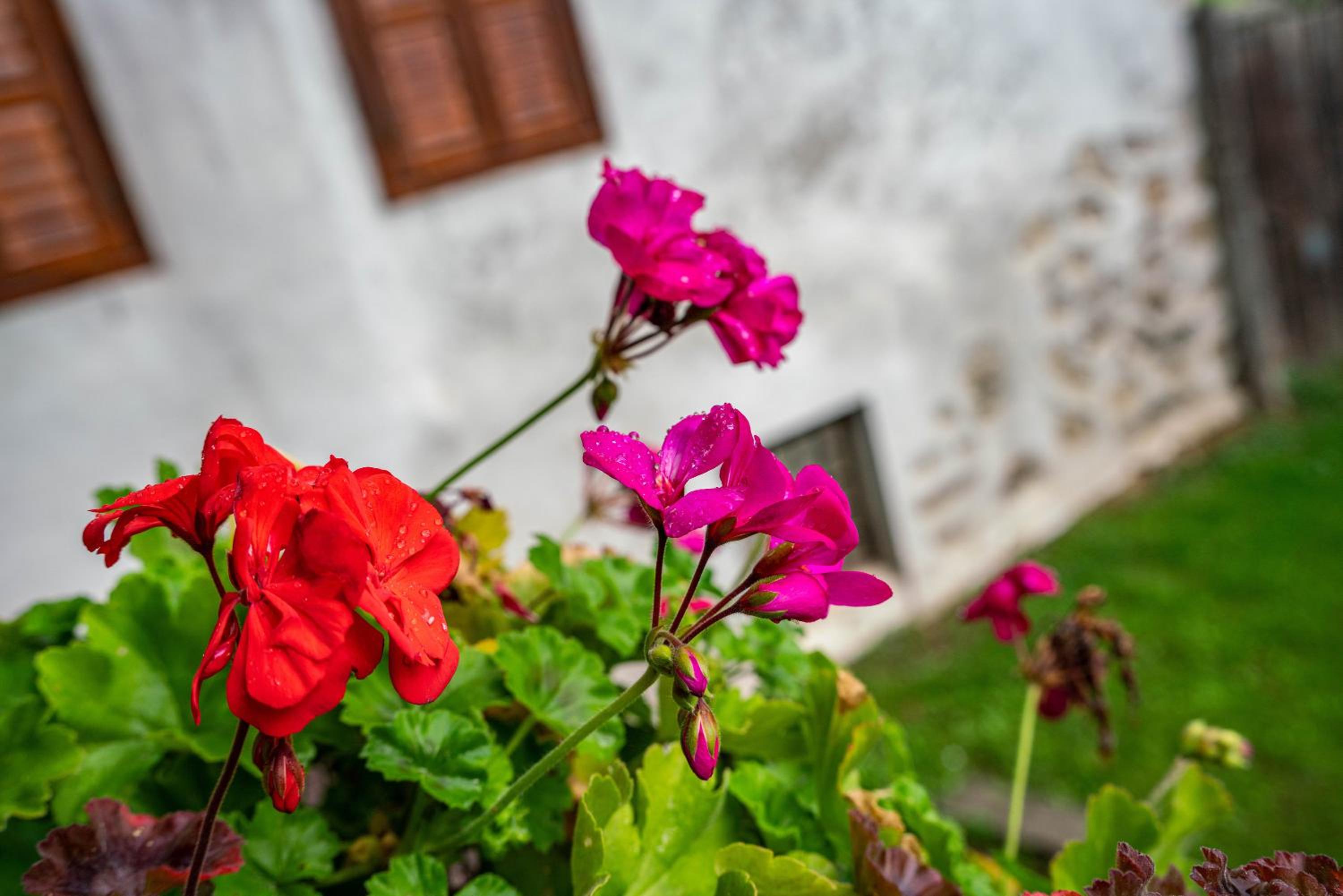 Agritur Solasna