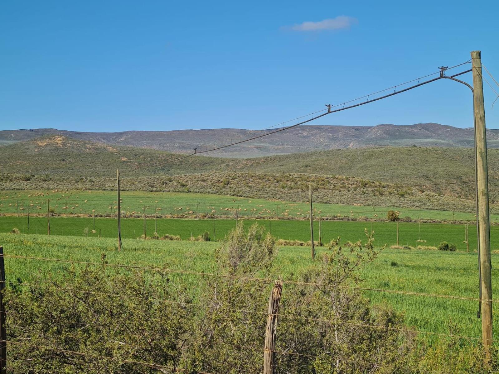 Landsrivier Cottage No 1 view 5