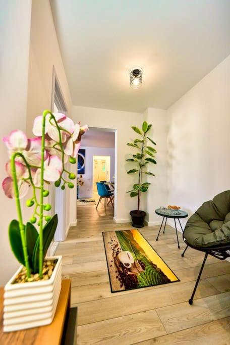 Bright apartment Matei Voievod