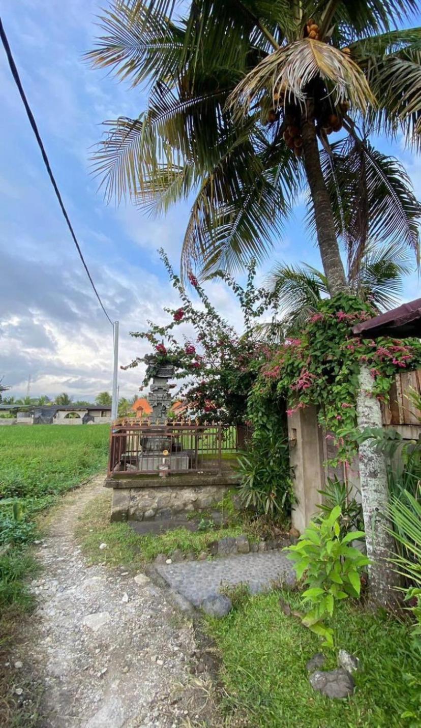 2Br Villa W pool- Sayan, UBUD view 4