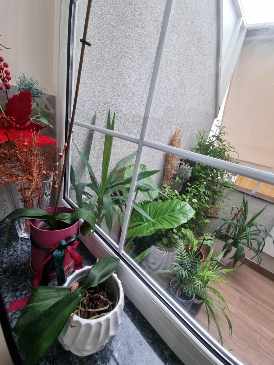 EmeraldApartament