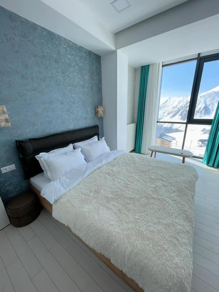 winter house GUDAURI