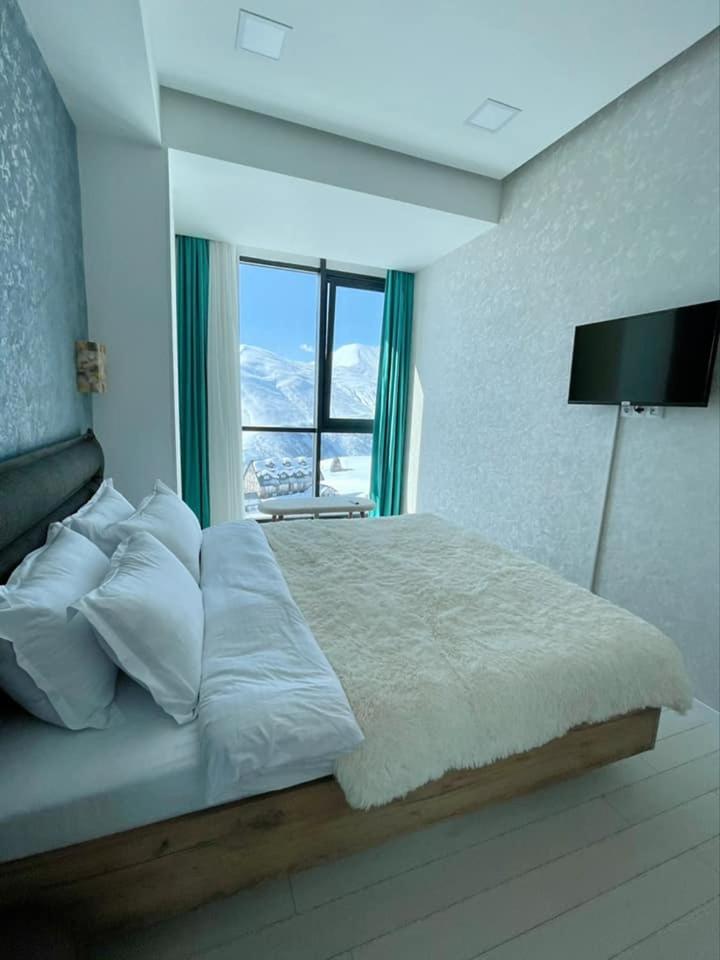 winter house GUDAURI
