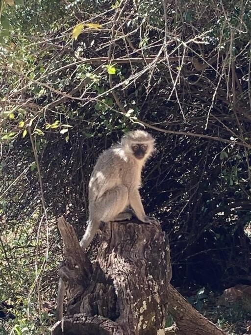 other
