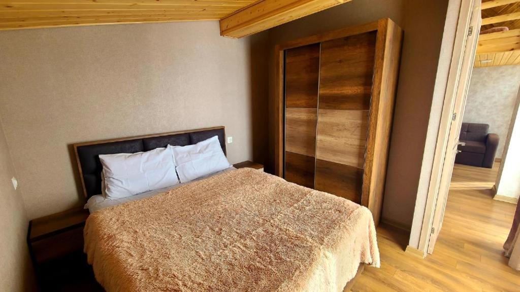 winter house GUDAURI