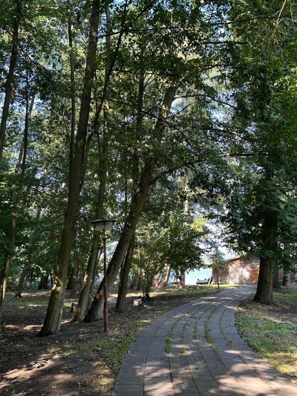 Paradiesufer am See