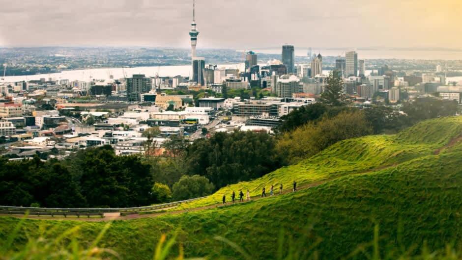 2 Bedrm Condo right on Mt Eden view 4