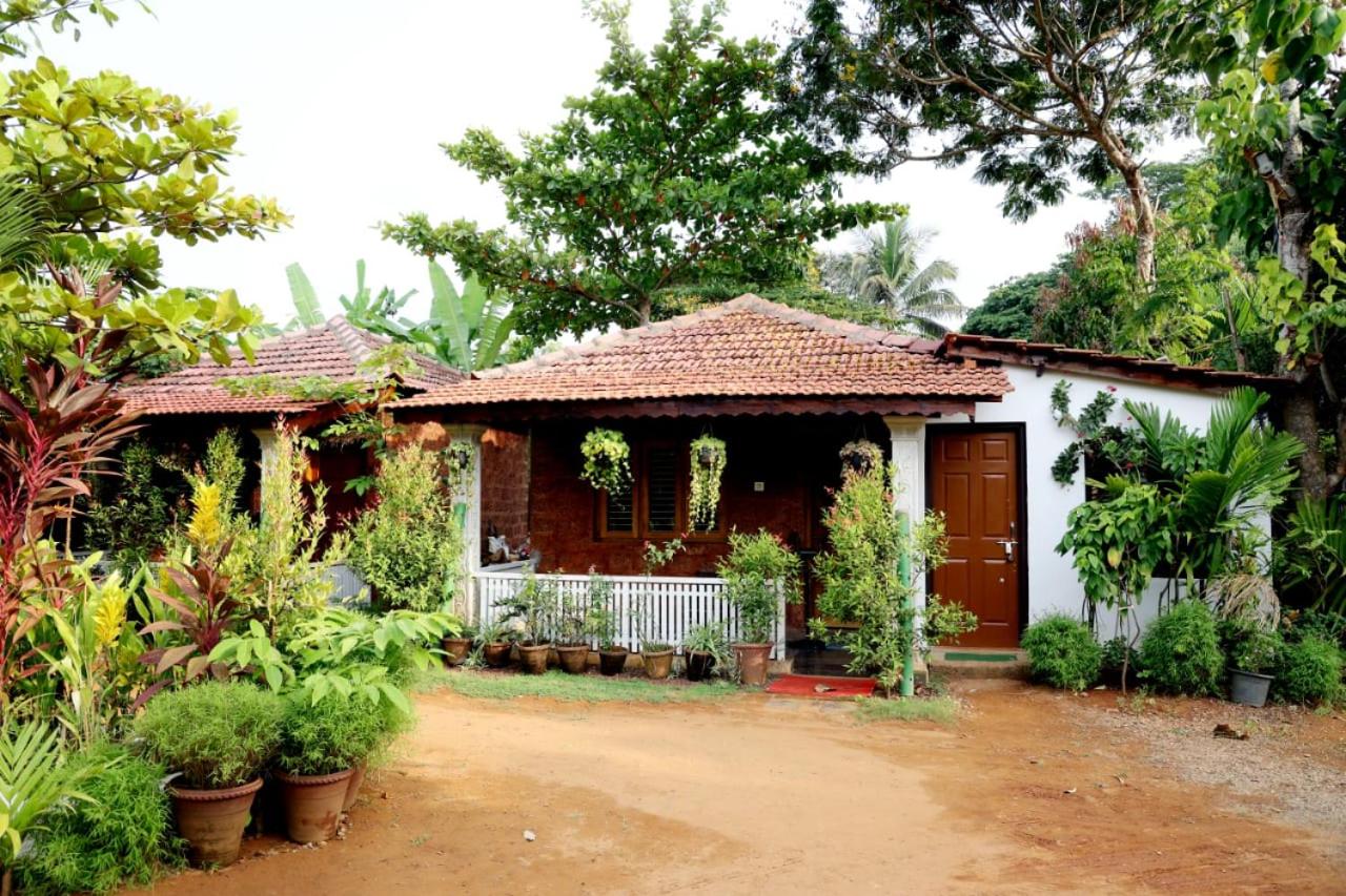 Niyati Home Stay view 3