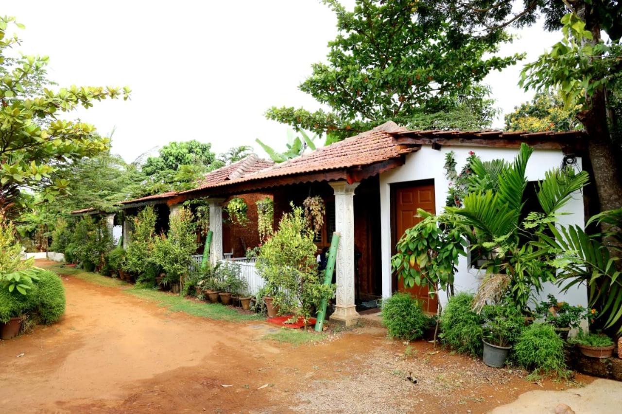 Niyati Home Stay view 5