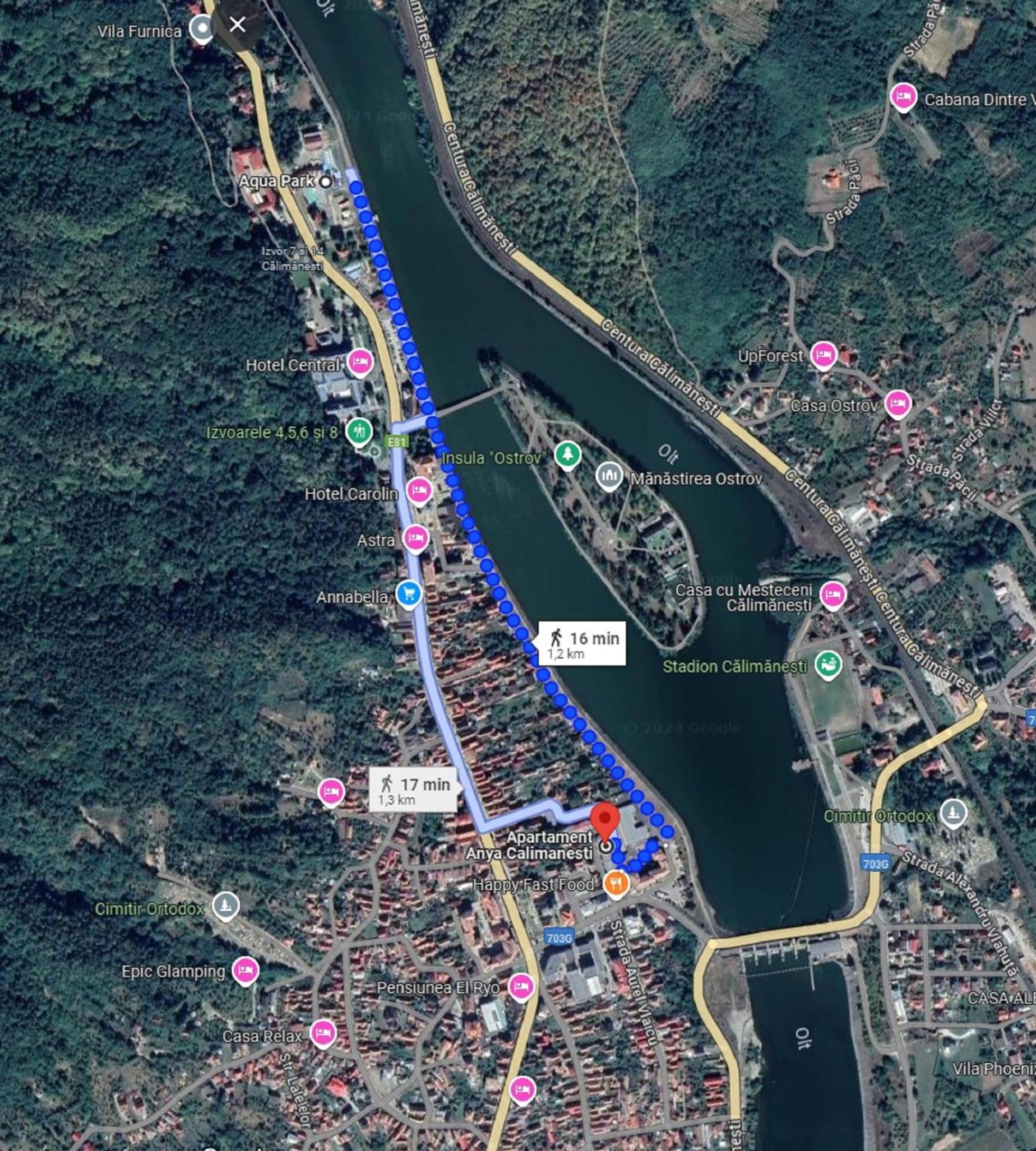 Apartament Anya Calimanesti view 4