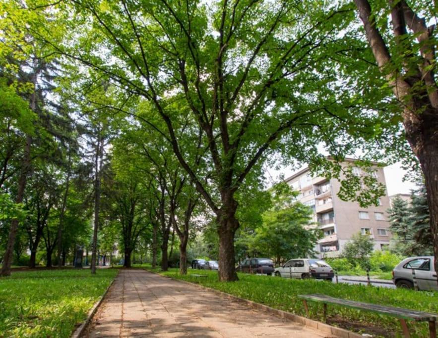 Alba apartment - Prime Location