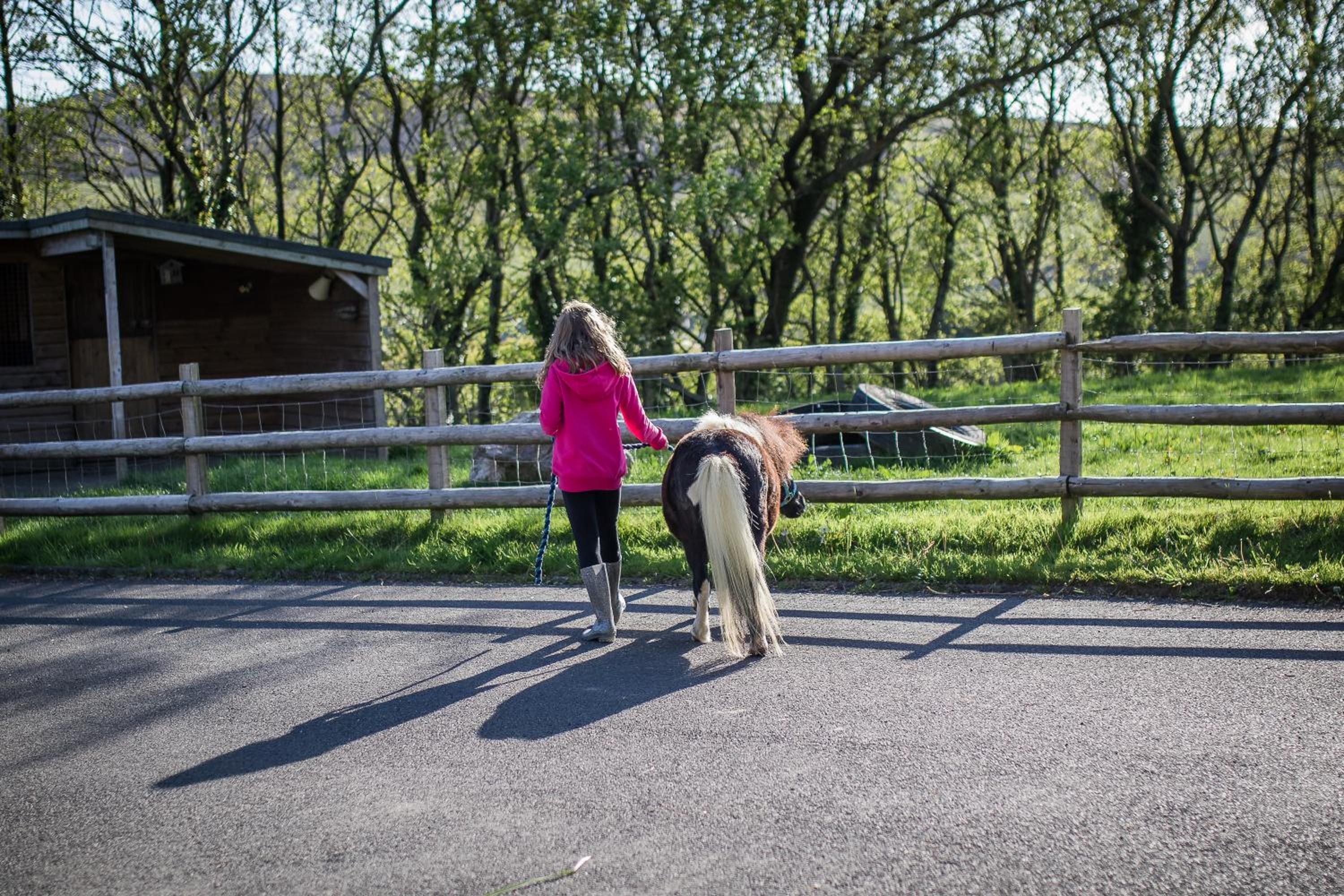 other