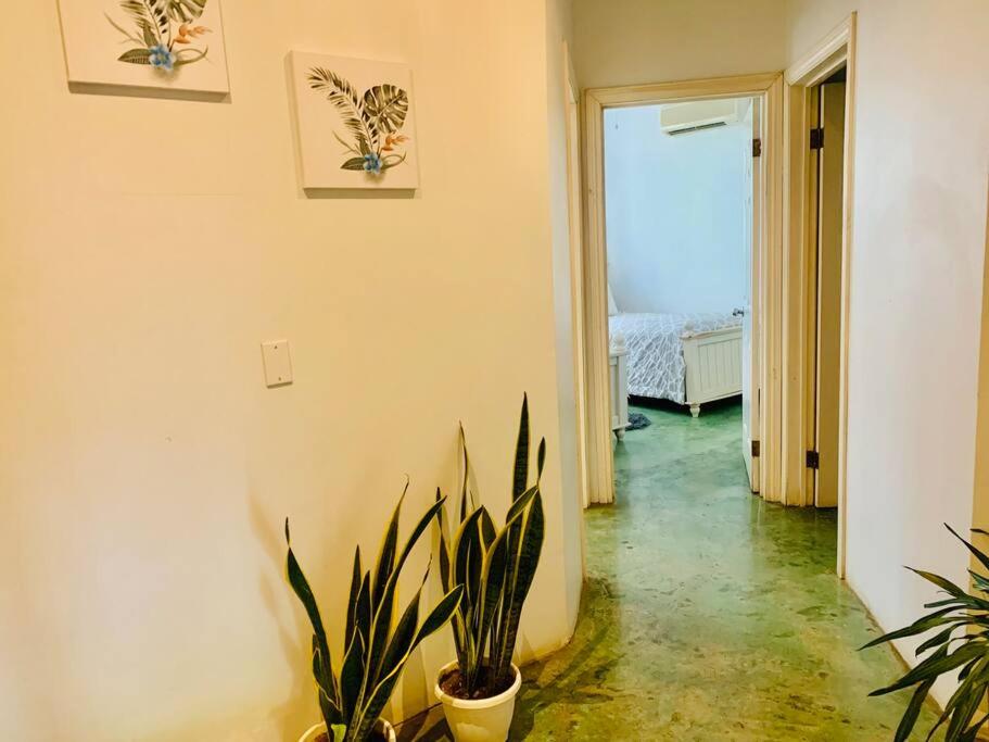 Gorgeous Beachfront Home in Playa Potrero