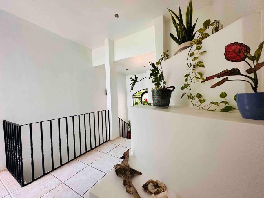 Gorgeous Beachfront Home in Playa Potrero
