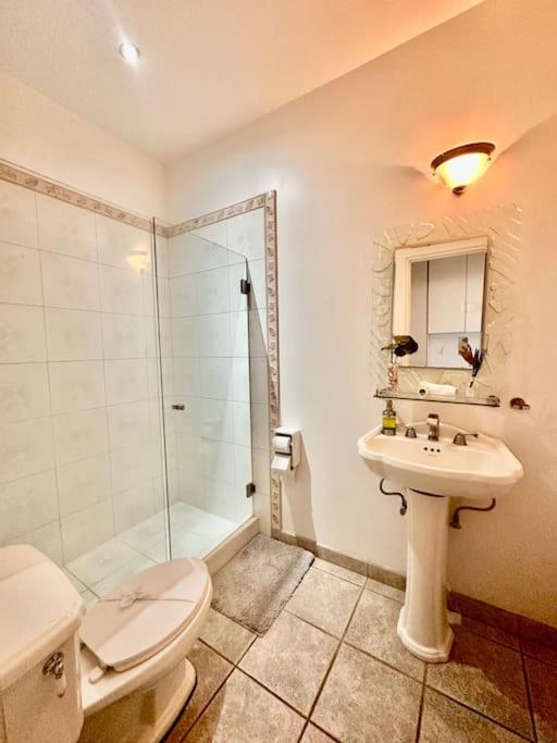 Gorgeous Beachfront Home in Playa Potrero