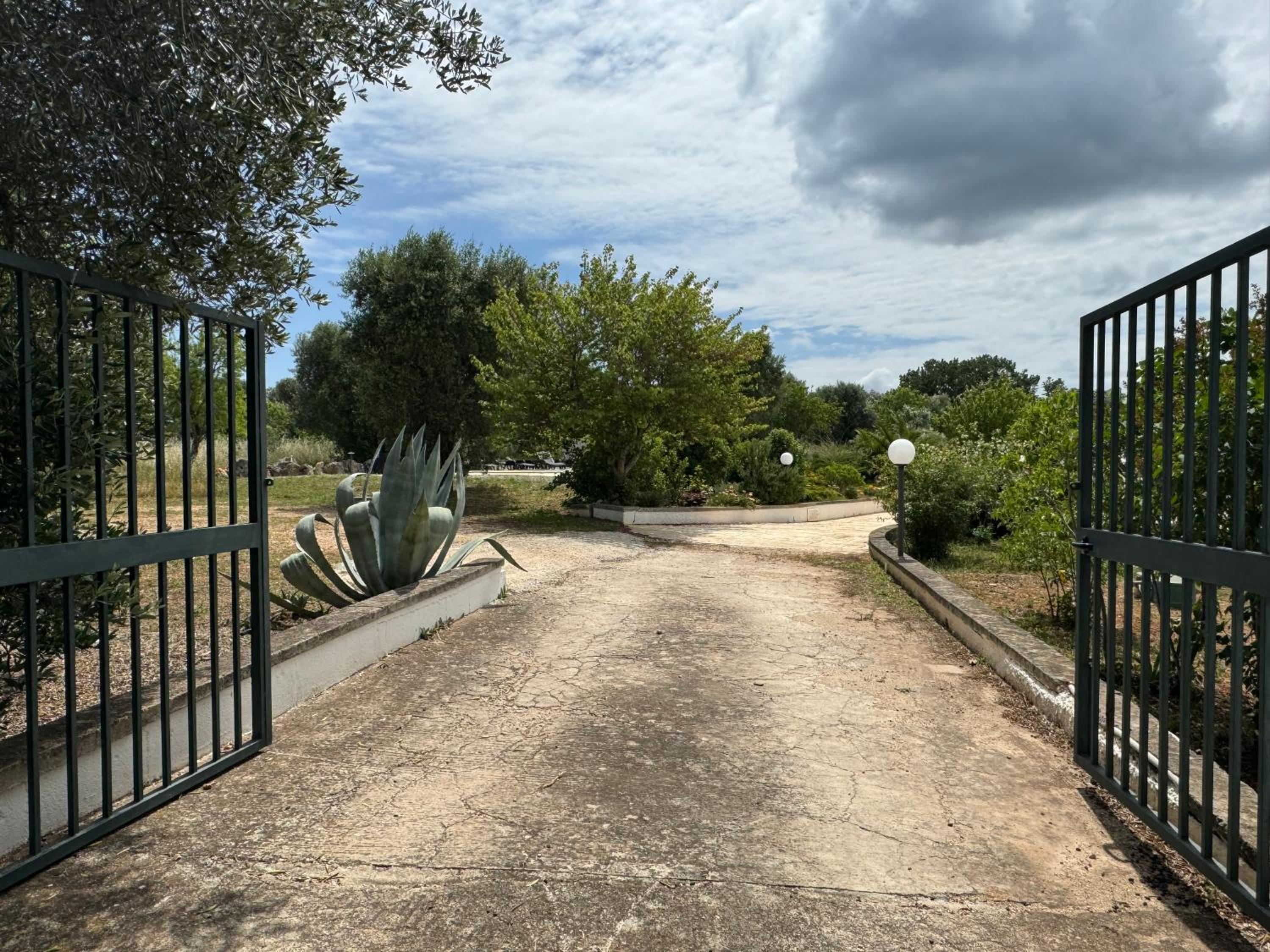 Photo 9