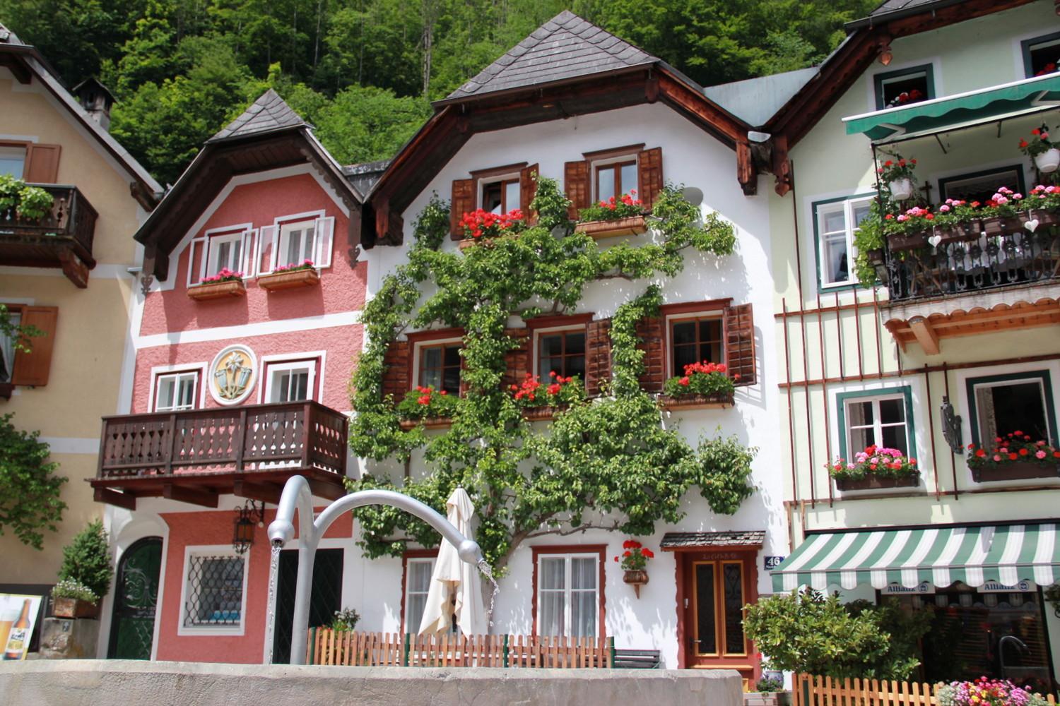 Apartments Gamsfeld