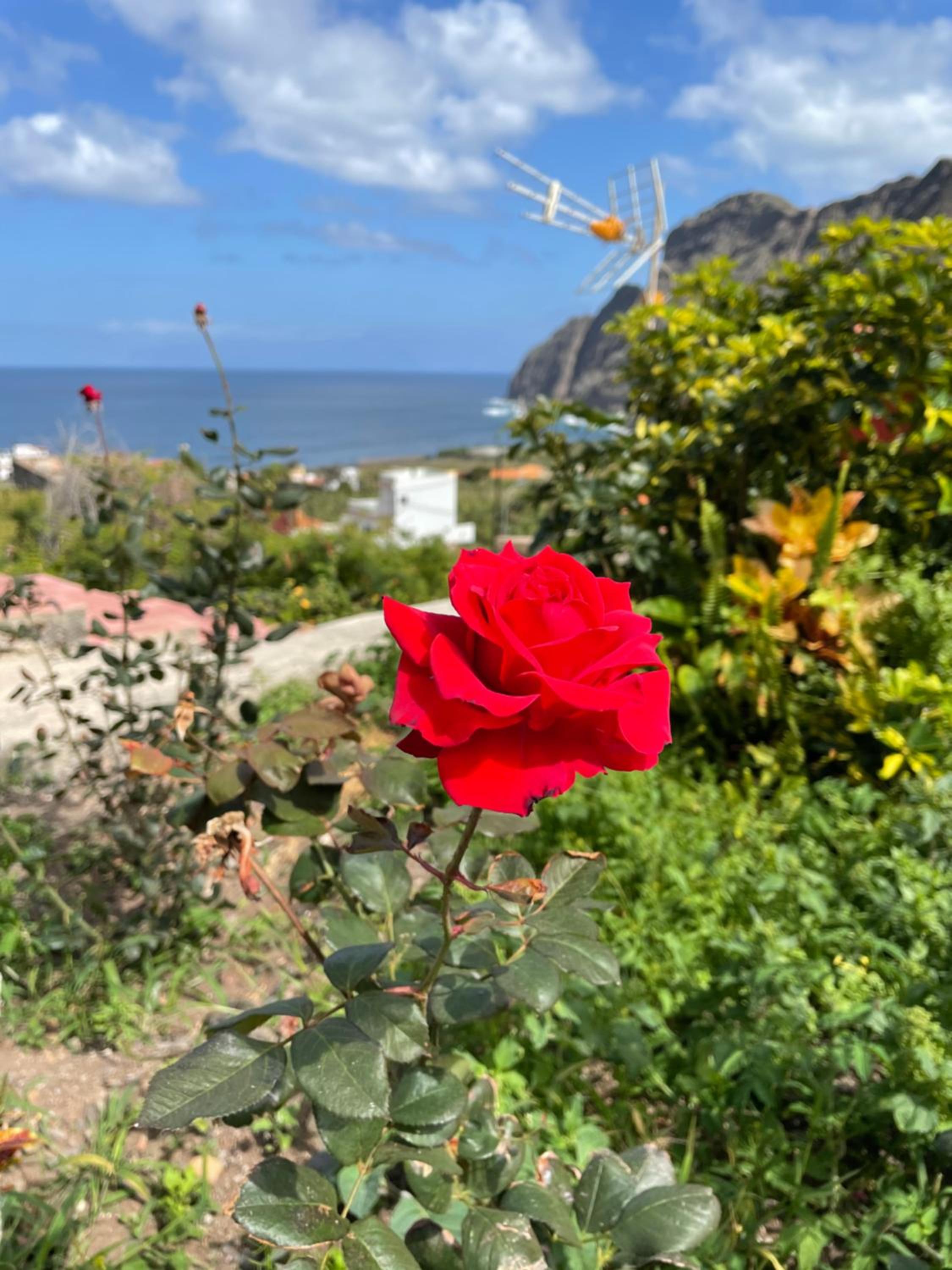 Finca Santa Catalina