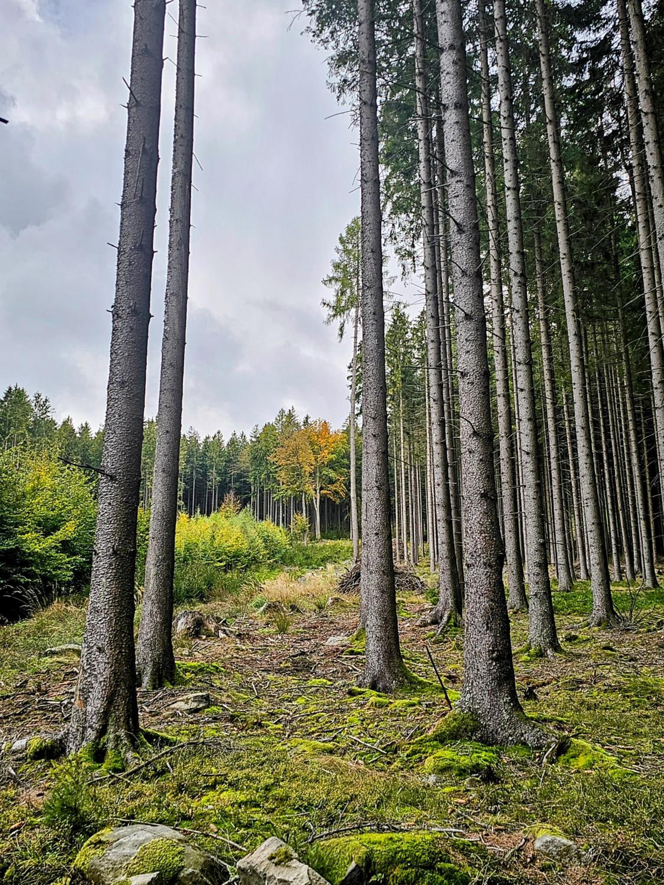 Penzion Poslední míle