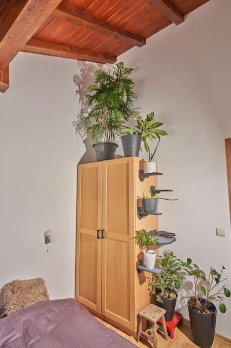 Panoramic 2 Bedroom Cabin Retreat Japanese Style