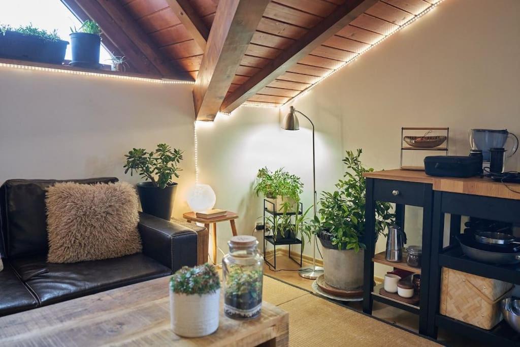 Panoramic 2 Bedroom Cabin Retreat Japanese Style