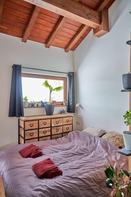 Panoramic 2 Bedroom Cabin Retreat Japanese Style