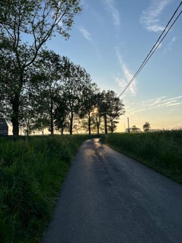 Bed and Breakfast Otentik