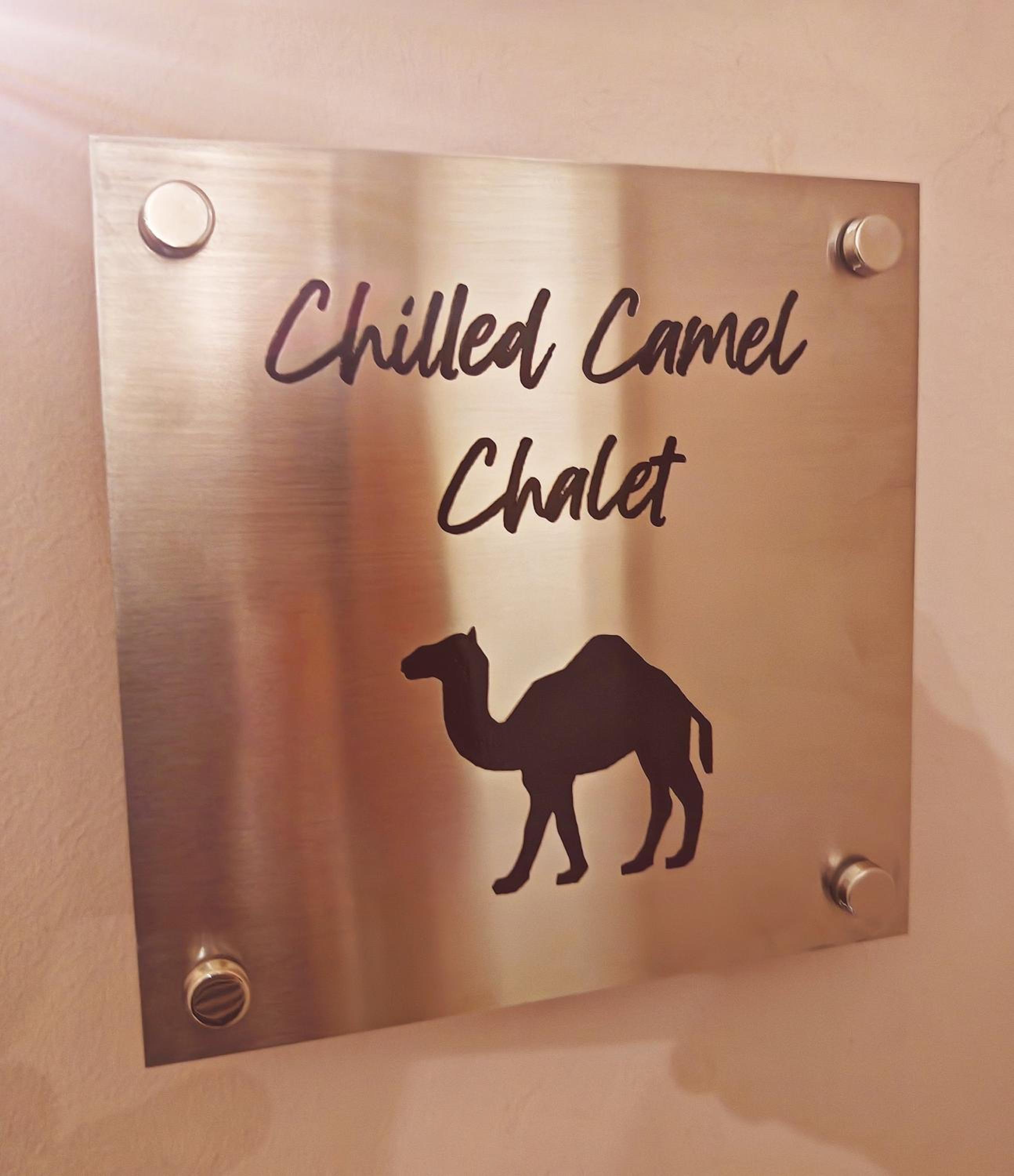 Chilled Camel