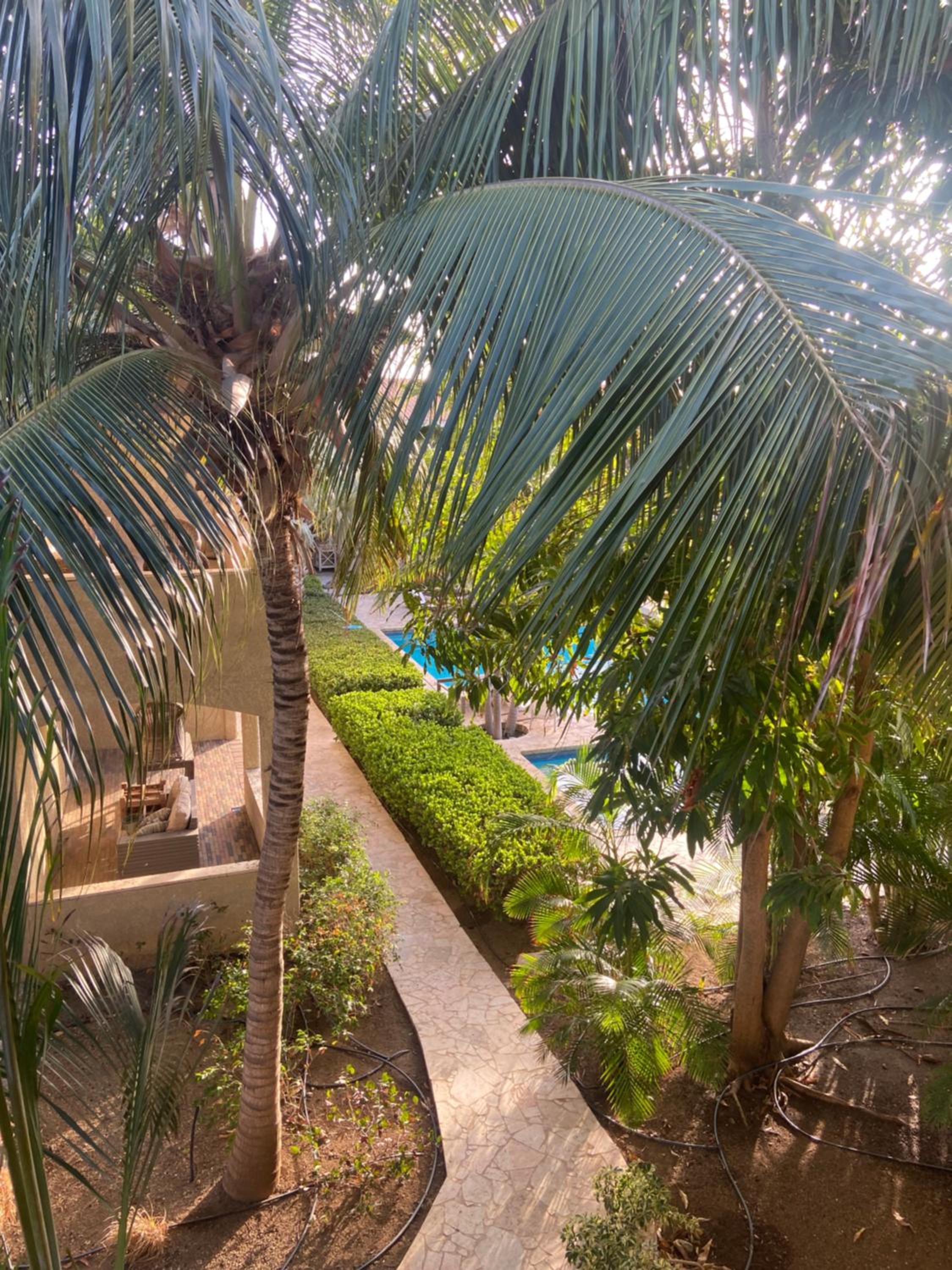 CocoCasa 22 Stylish Luxury Apartment with Pool near Jan Thiel Beach
