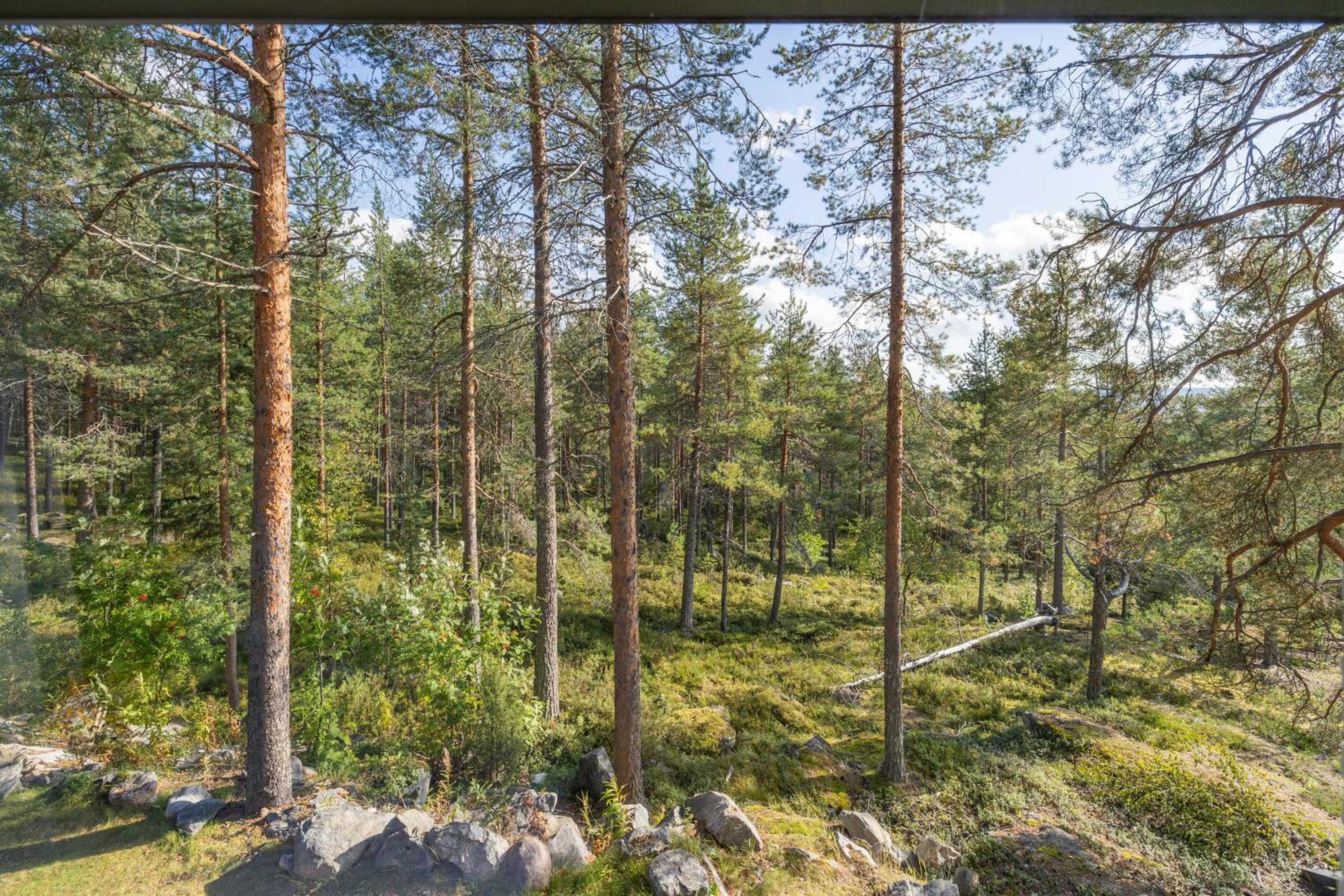 Arctic Wood Art City Villa