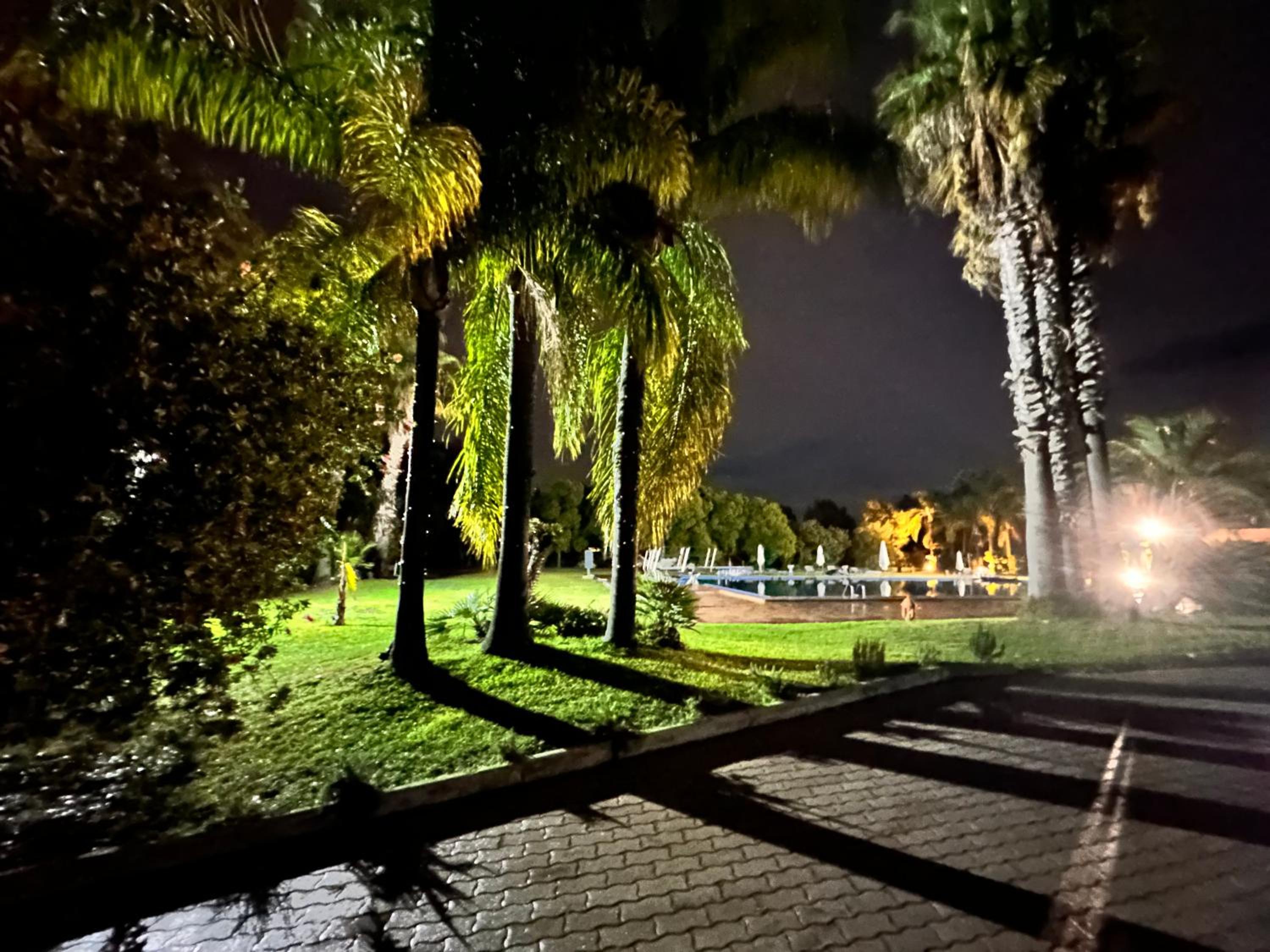 Photo 47