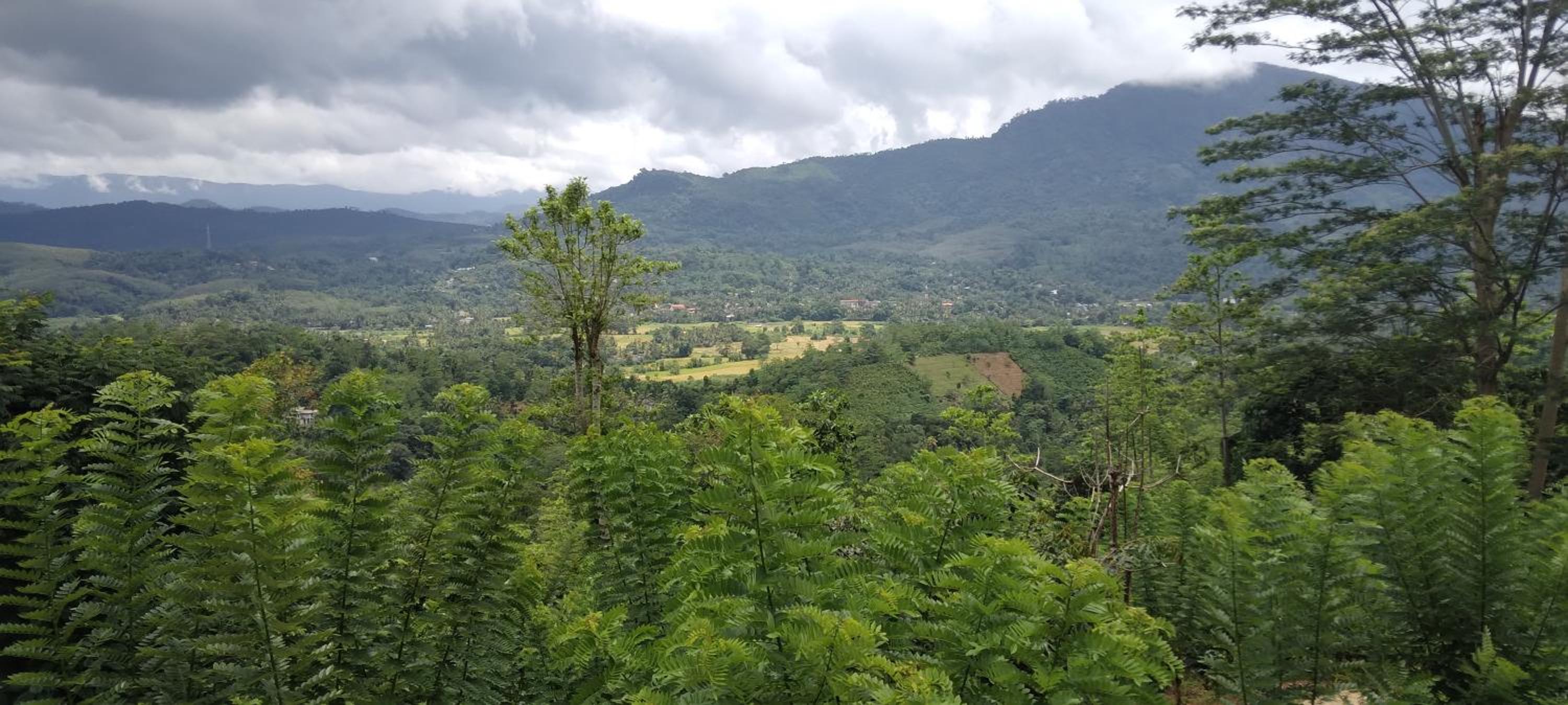 Riverston View Thotagamuwa view 3