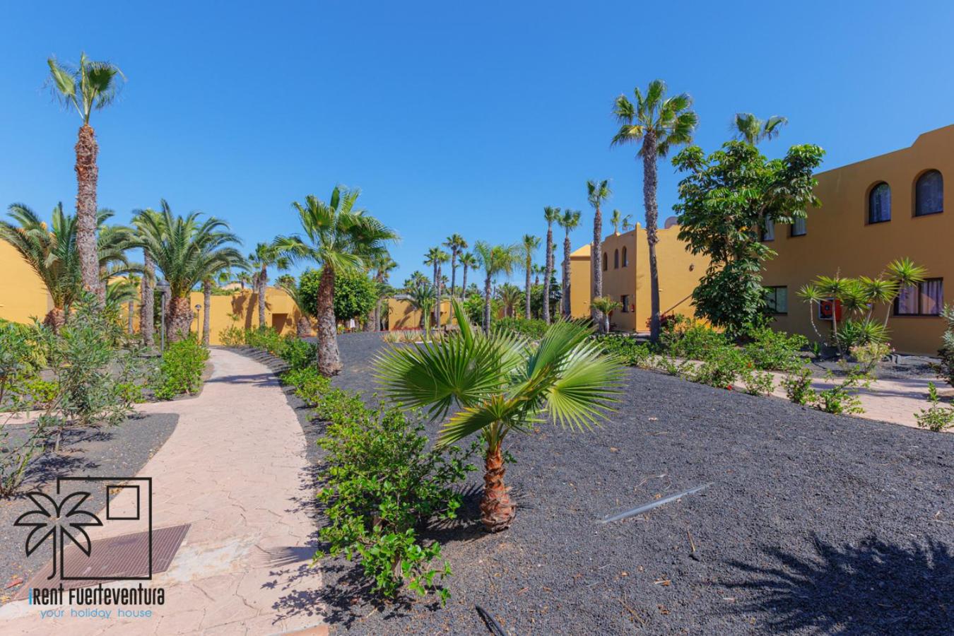 Casa La Rosa Papagayo Corralejo iRentFuerteventura