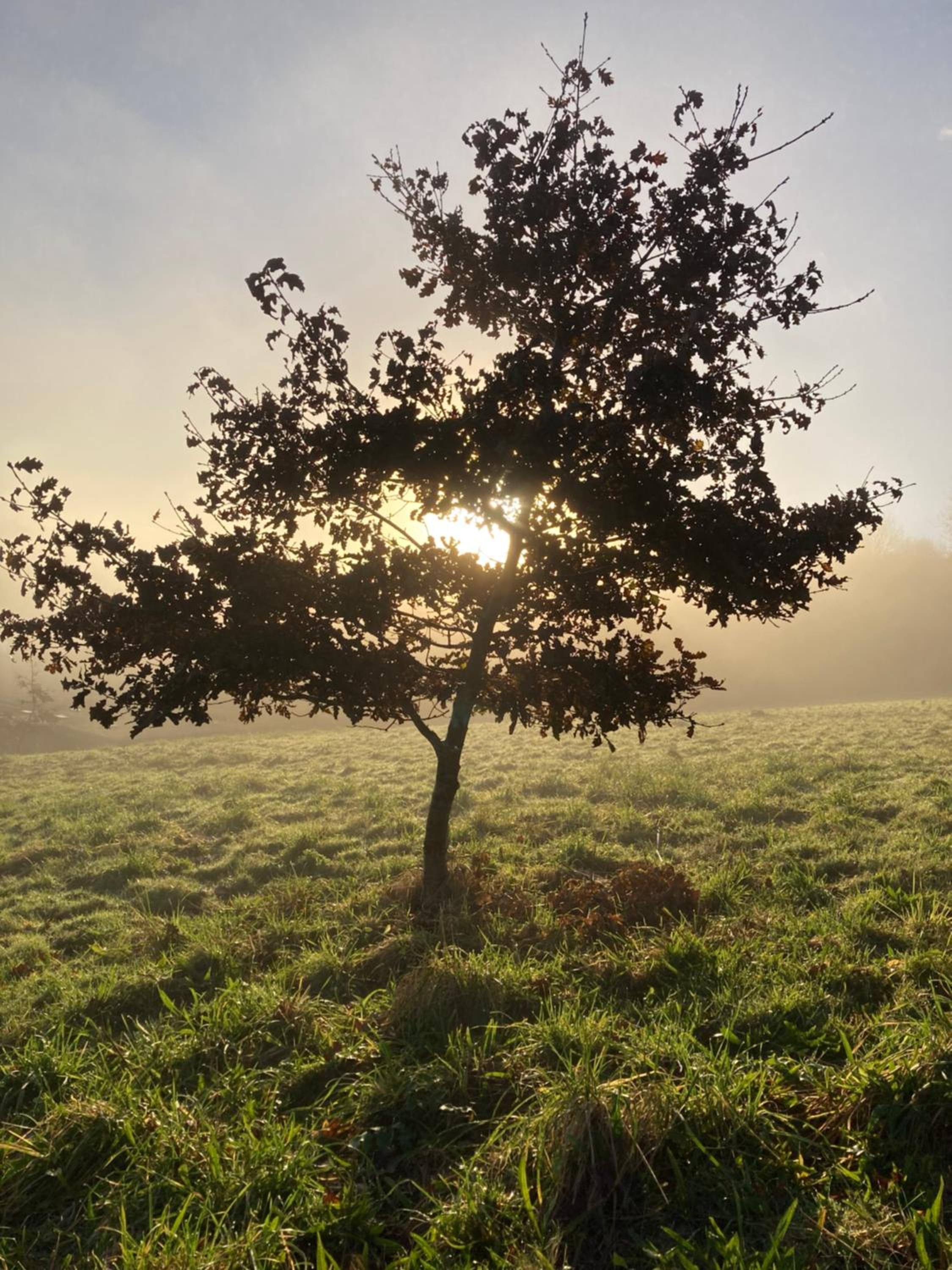 Photo 73