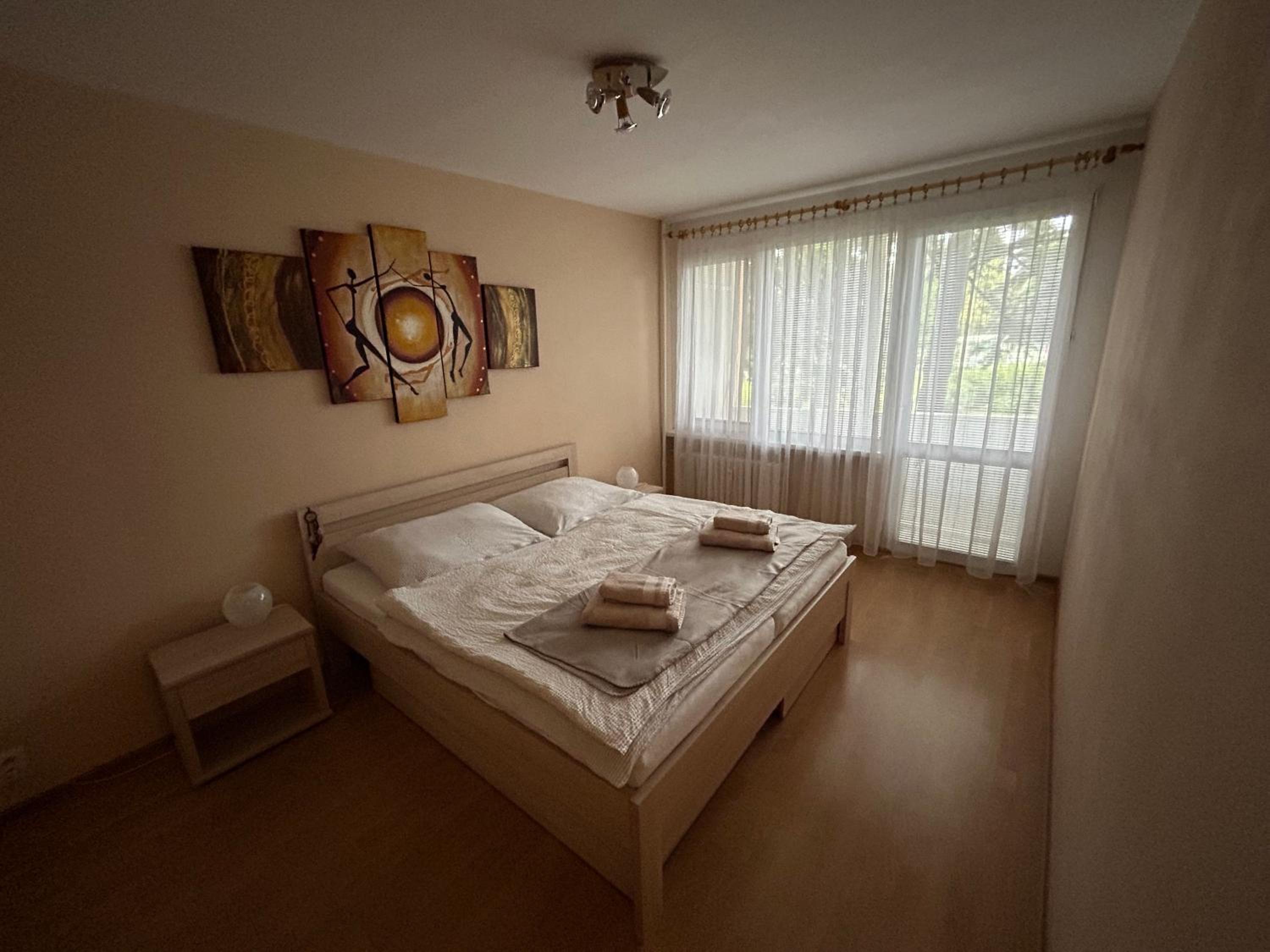 Apartmán pri Váhu view 2