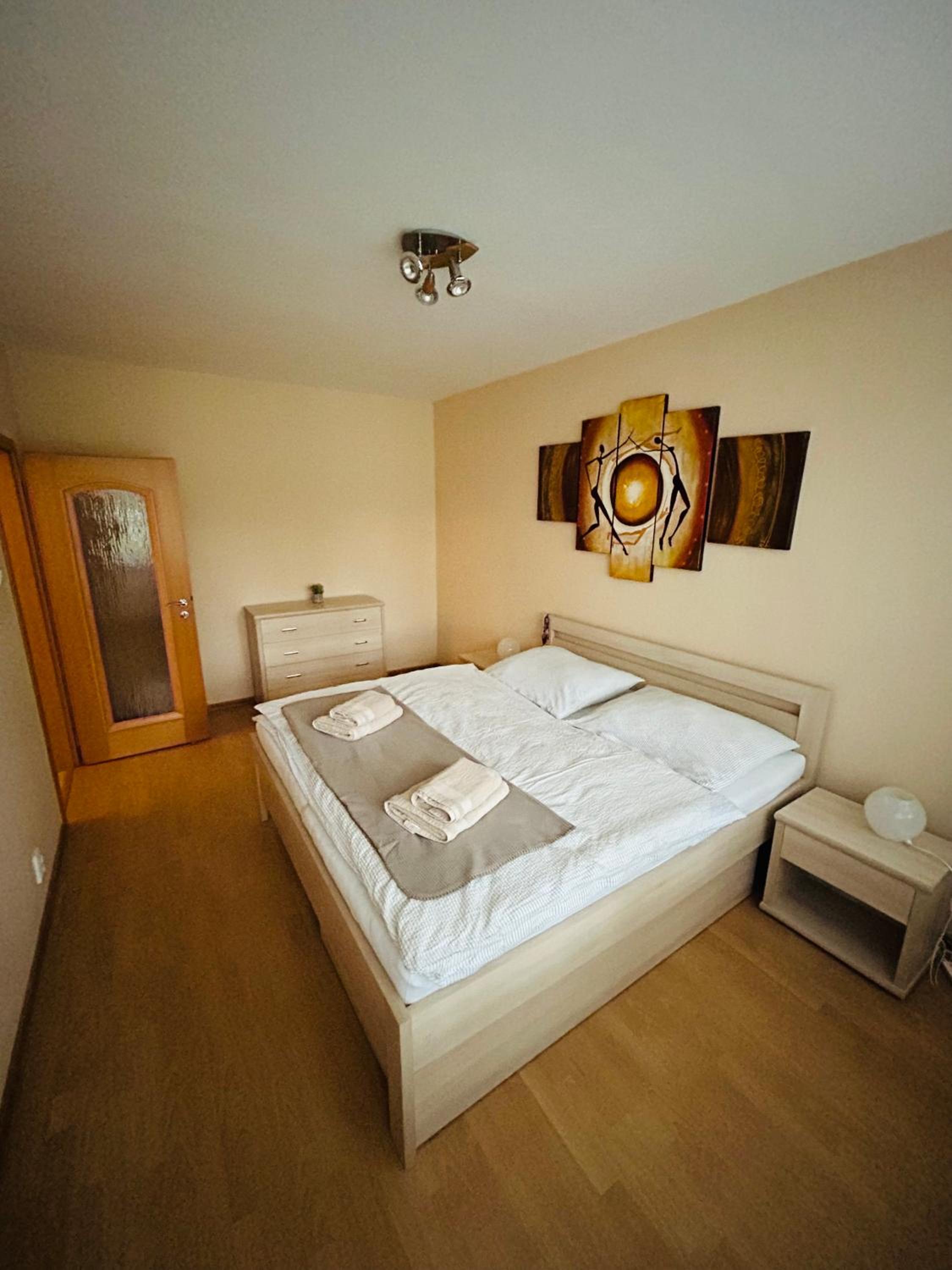 Apartmán pri Váhu view 4