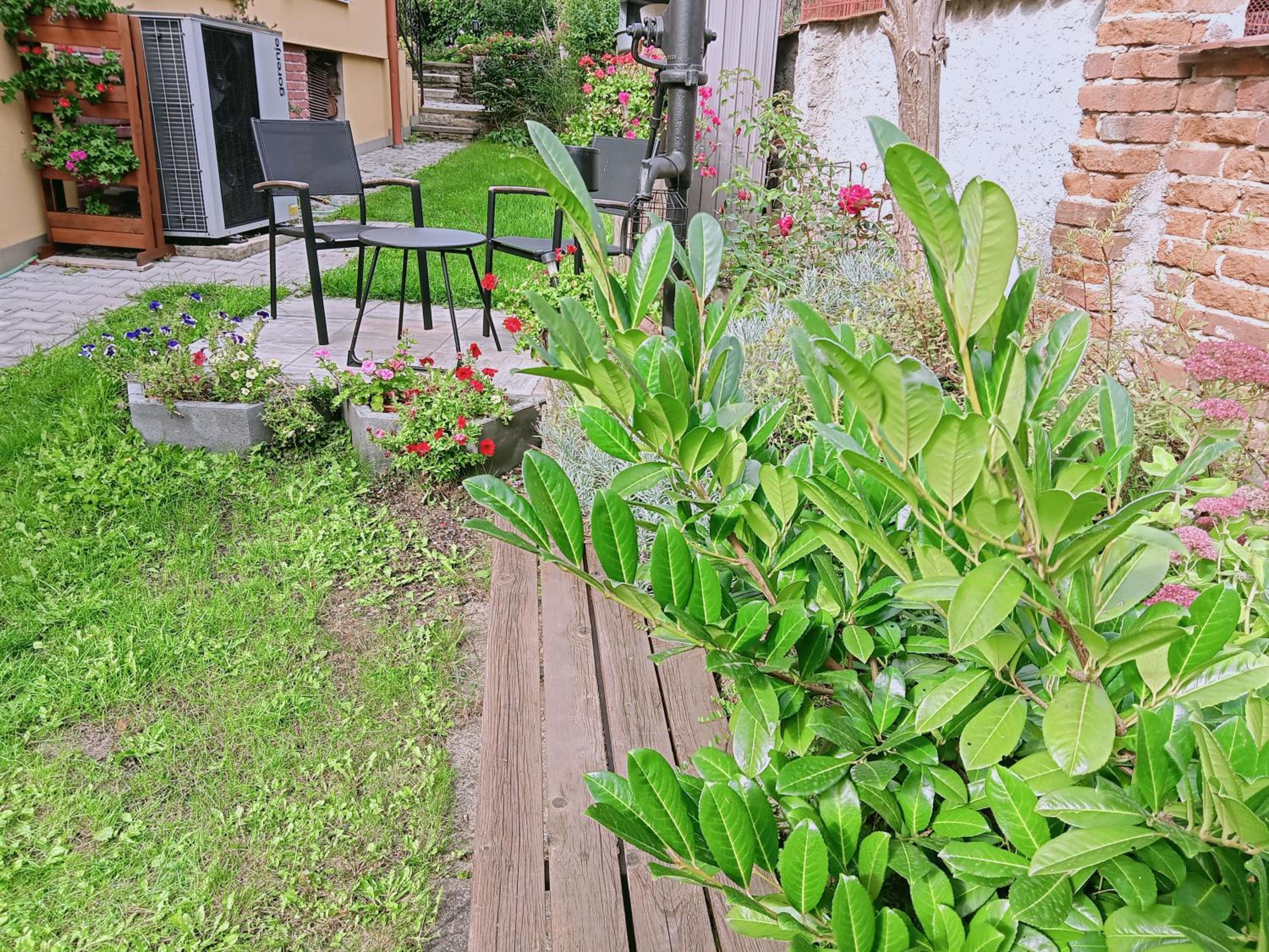 Apartmán Kácov