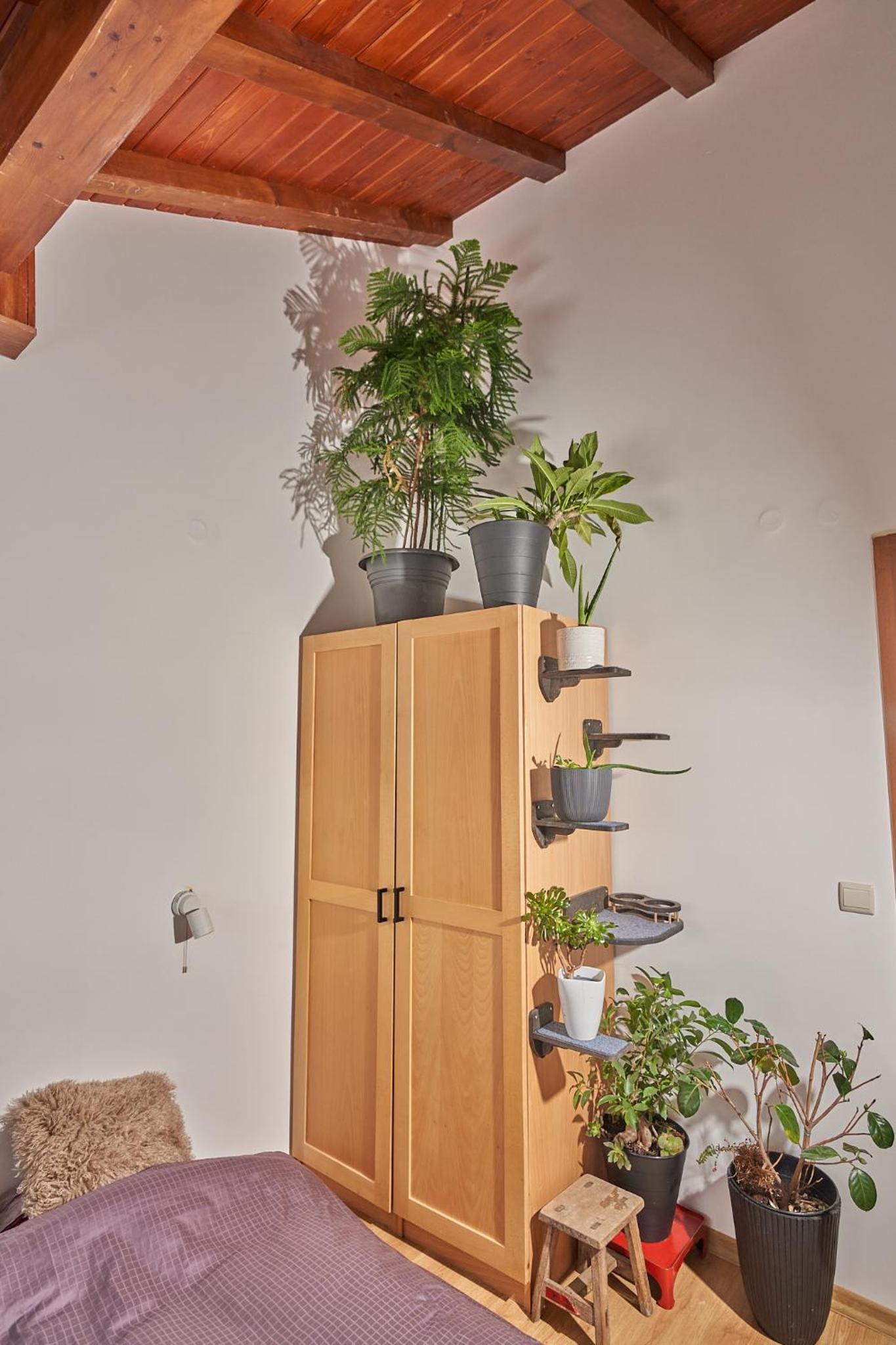 Panoramic 2 Bedroom Cabin Retreat Japanese Style