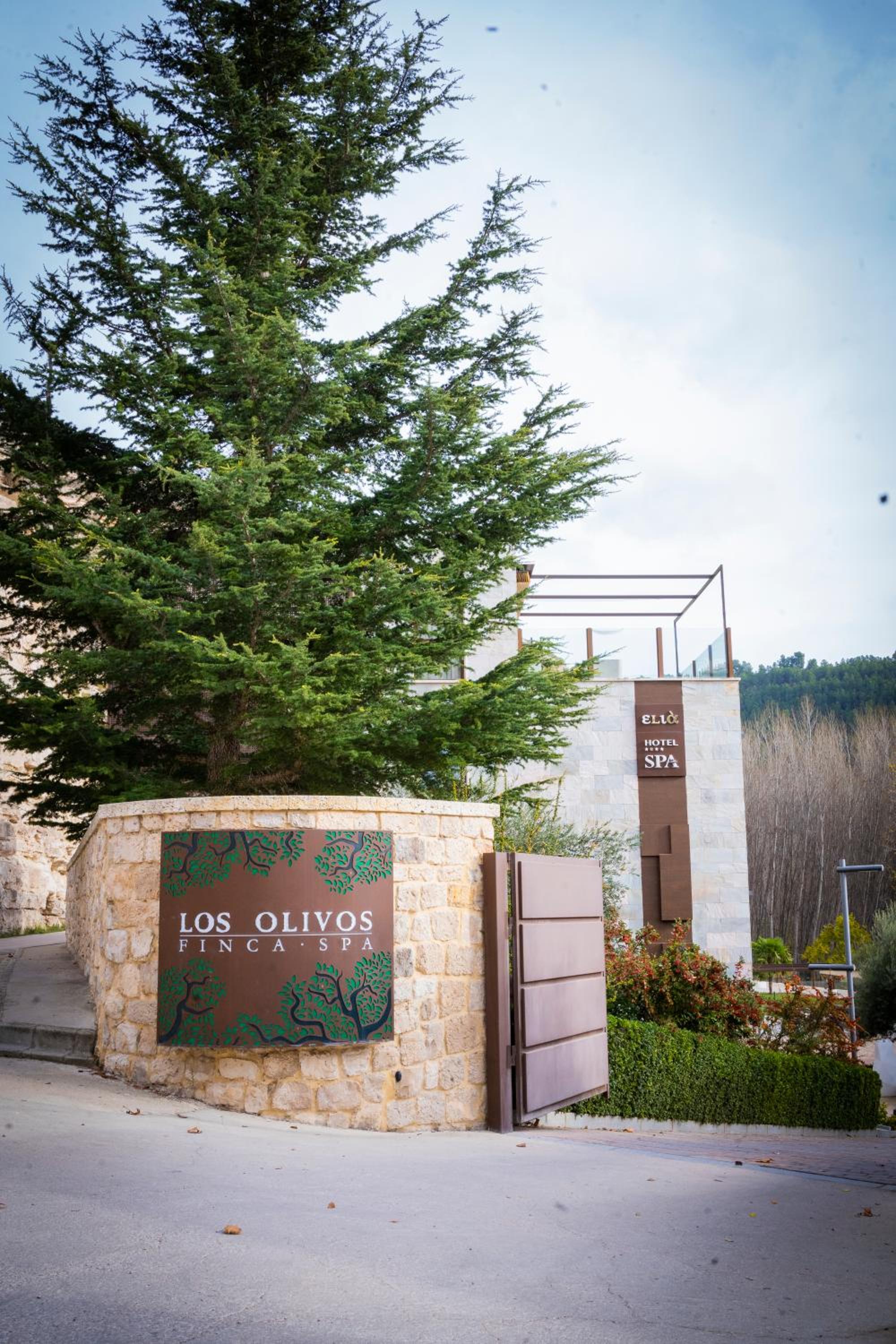 Finca Los Olivos