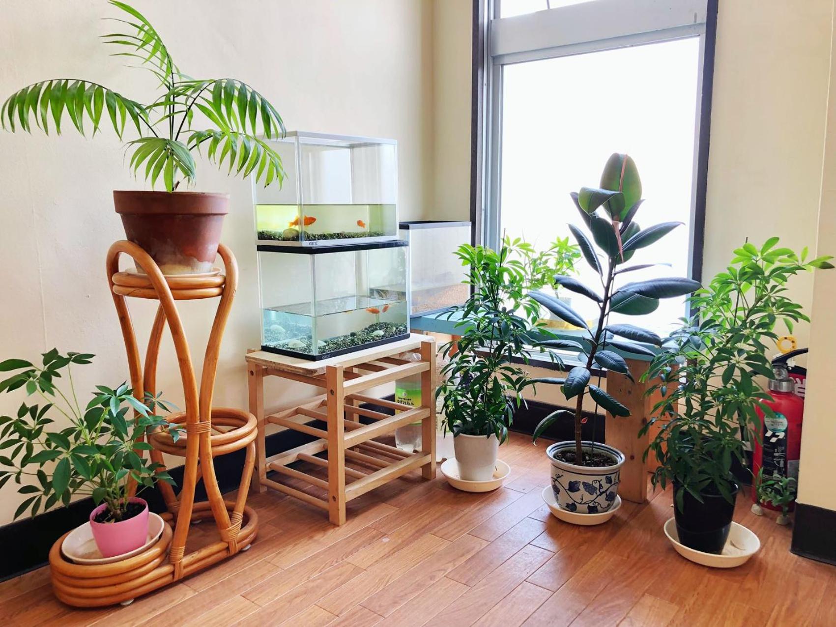 Otaru Garden Stay - Image 5