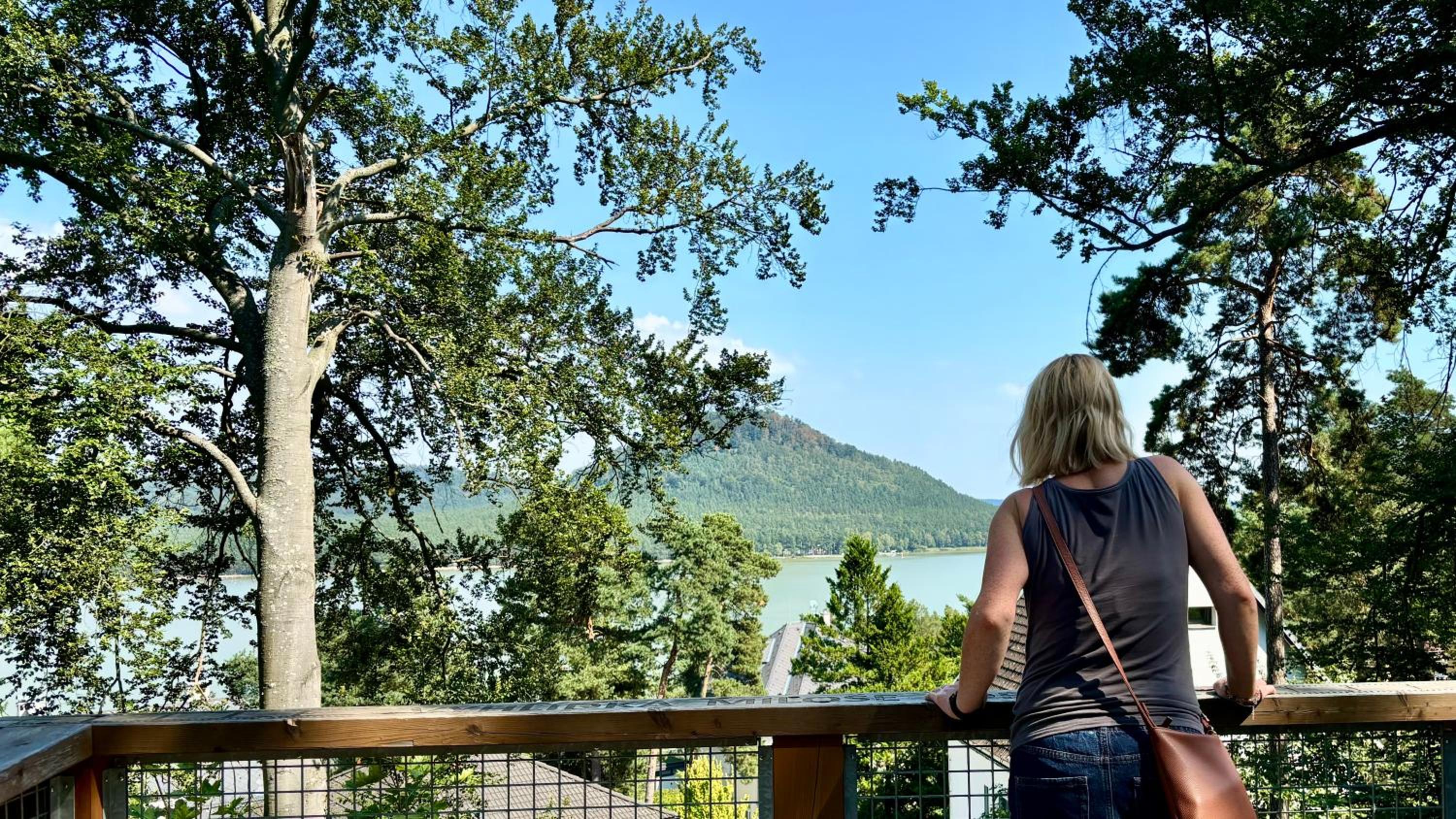 Remote Work Friendly Zahradní apartmán u jezera