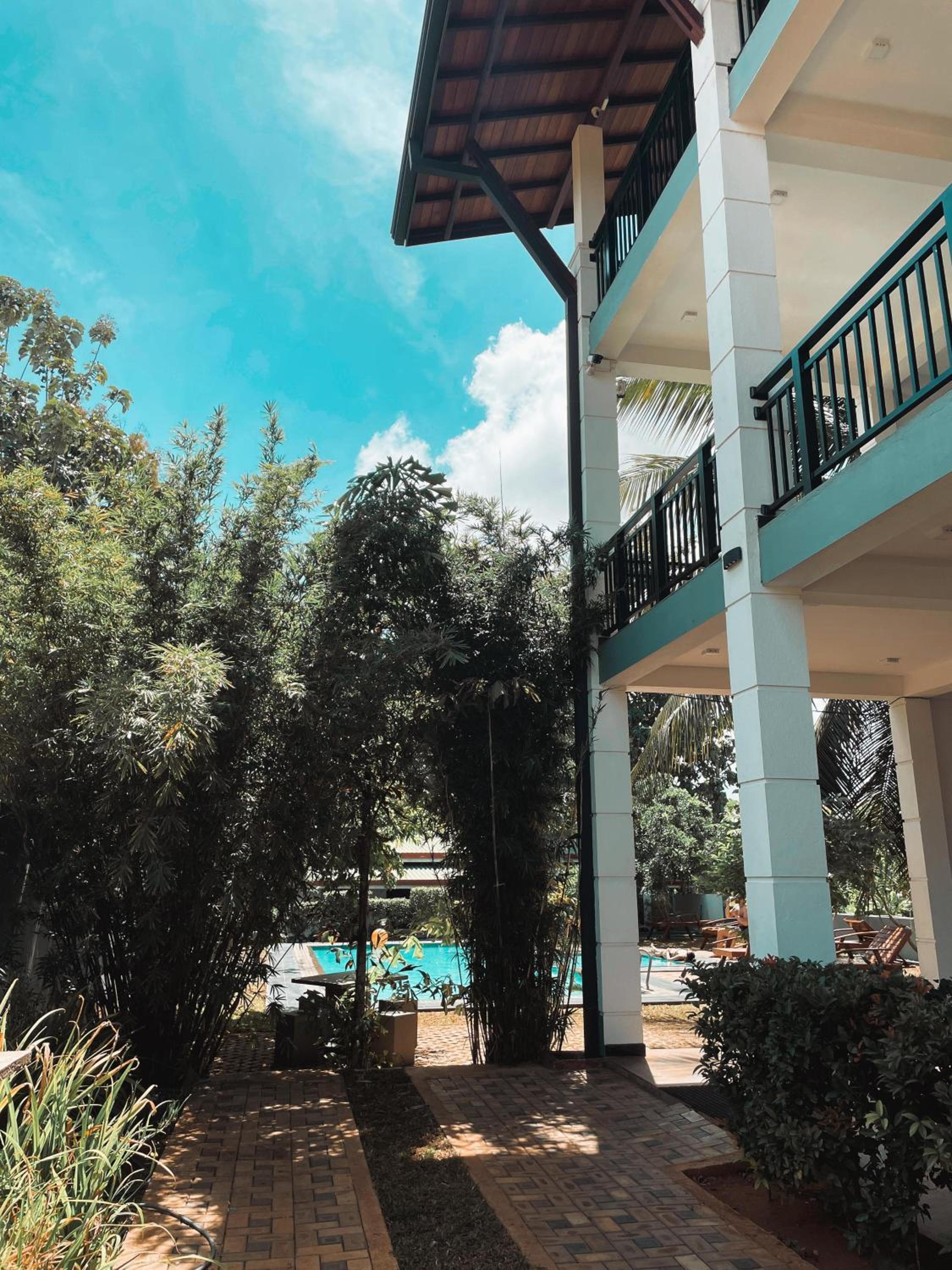 Photo 8