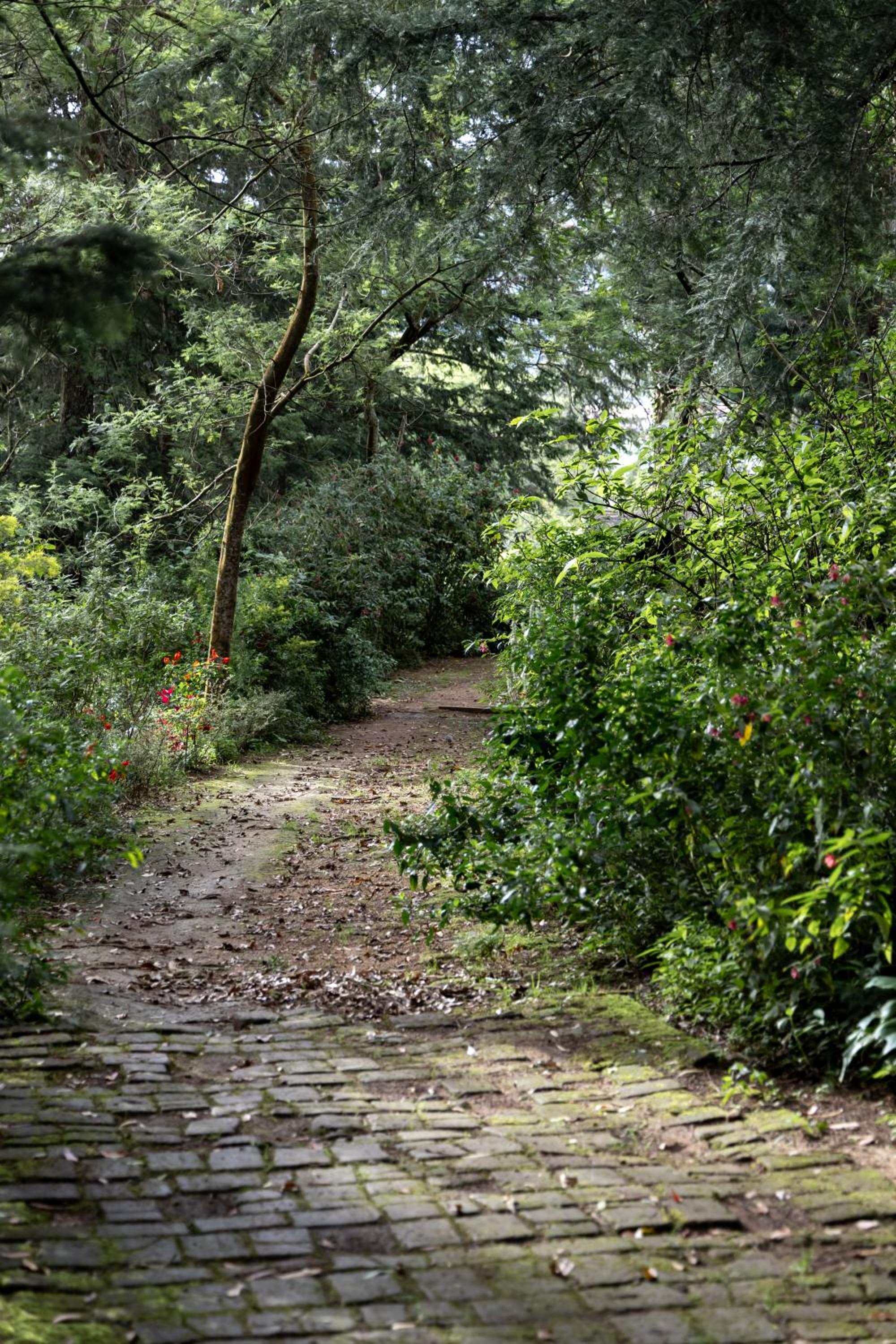 Photo 42