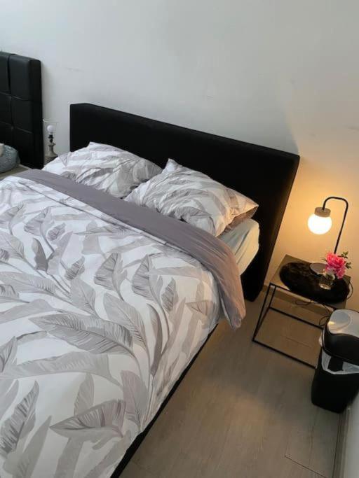 Beautiful Big Apartment in Central Antwerp