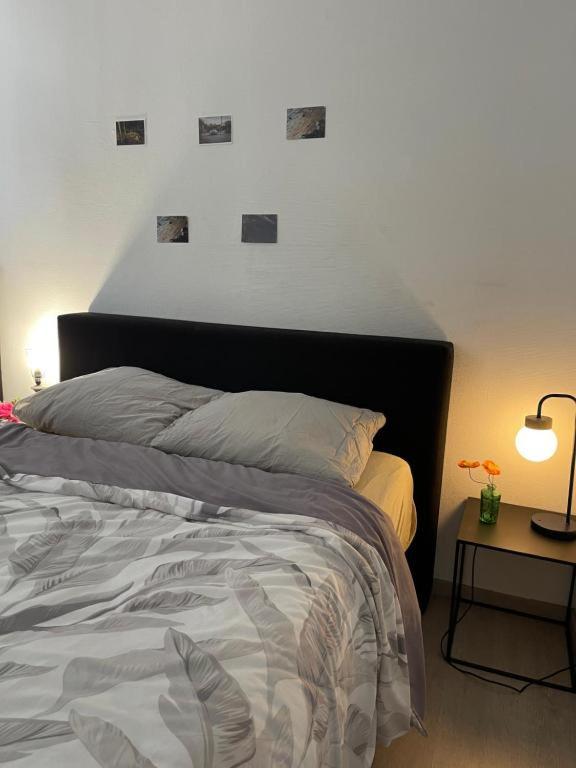 Beautiful Big Apartment in Central Antwerp